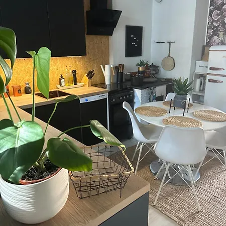 Idyllinen Puukerrostalo Laehellae Keskustaa Appartement