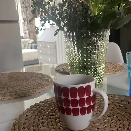 Idyllinen Puukerrostalo Laehellae Keskustaa Appartement Hämeenlinna