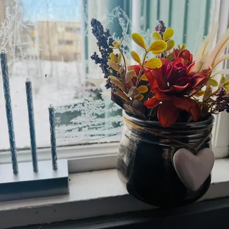Lägenhet Idyllinen Puukerrostalo Laehellae Keskustaa